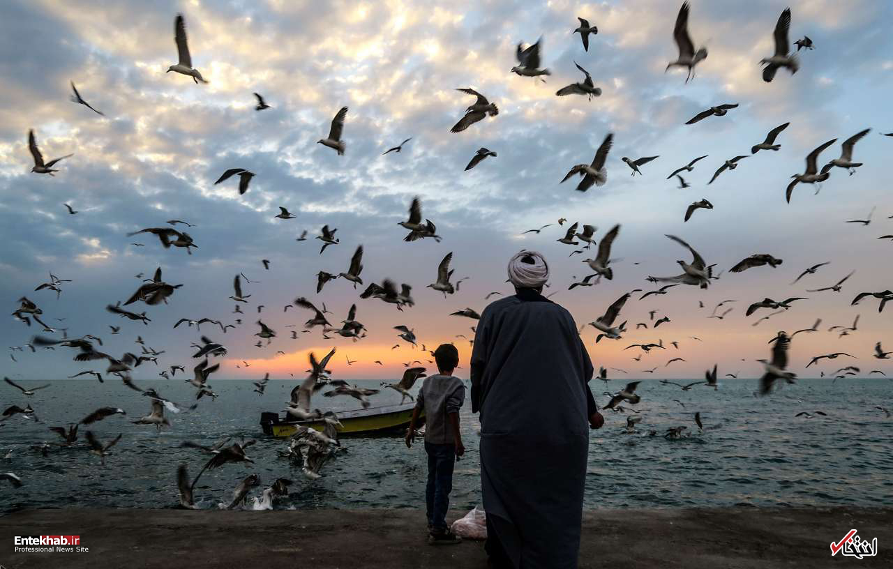 تصاویر روز :