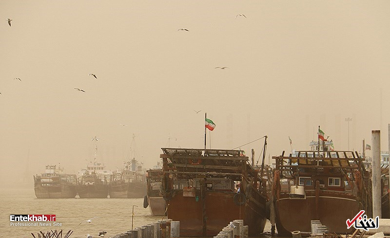 تصاویر :