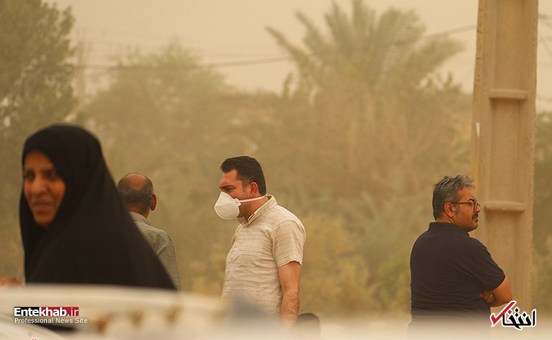 تصاویر :