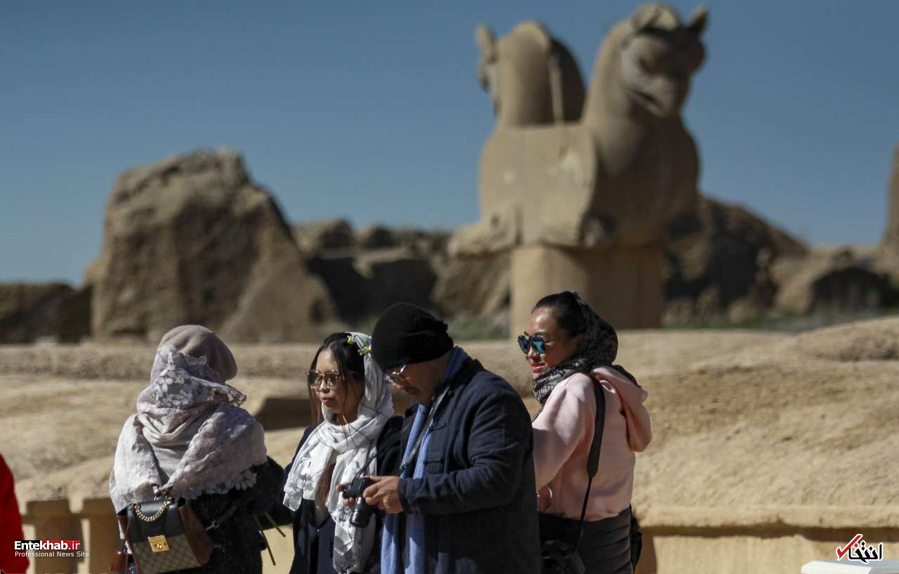 تصاویر :