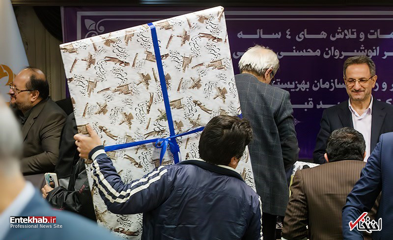 تصاویر روز : تصاویر روز :