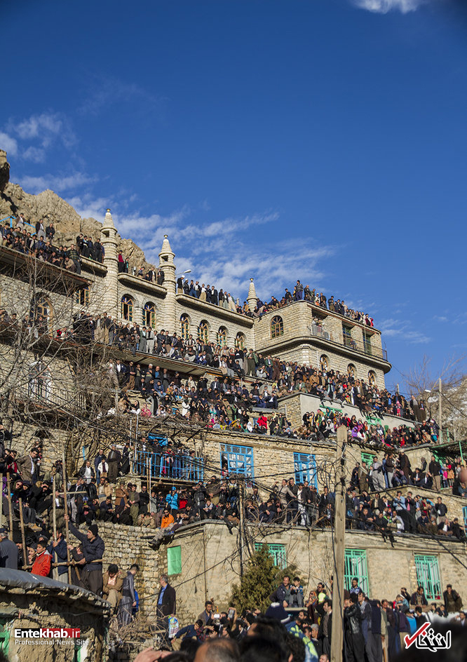 تصاویر روز : تصاویر روز :