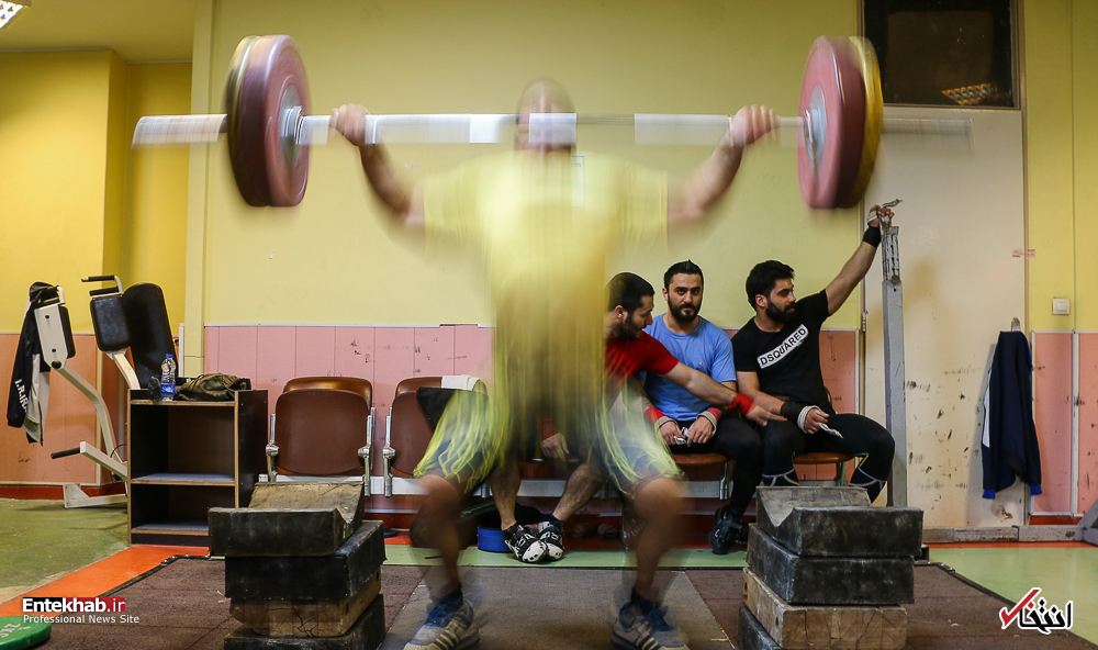 تصاویر روز : تصاویر روز :