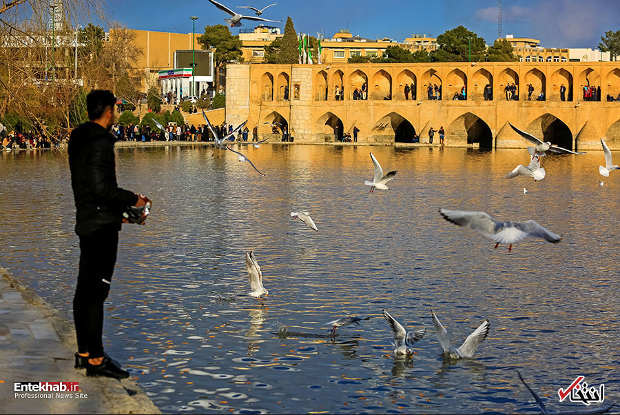 تصاویر روز :