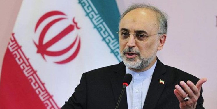 صالحی: ایران در همه زمینههای هستهای قادر به «طراحی» است صالحی: ایران در همه زمینههای هستهای قادر به «طراحی» است
