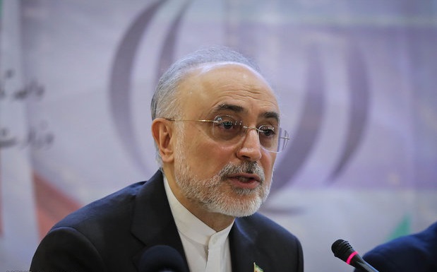 صالحی:توان تولید انبوه IR۸ را داریم/ همه امور هسته ای را طراحی می کنیم صالحی:توان تولید انبوه IR۸ را داریم/ همه امور هسته ای را طراحی می کنیم