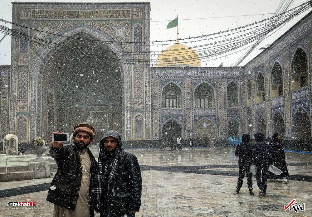 تصاویر :