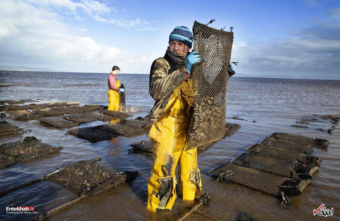 تصاویر : دیدنی&zwnj;های امروز سه شنبه ۲۱ اسفندماه