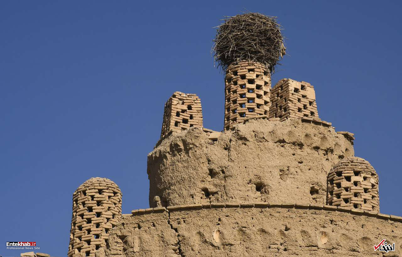 تصاویر روز : تصاویر روز :