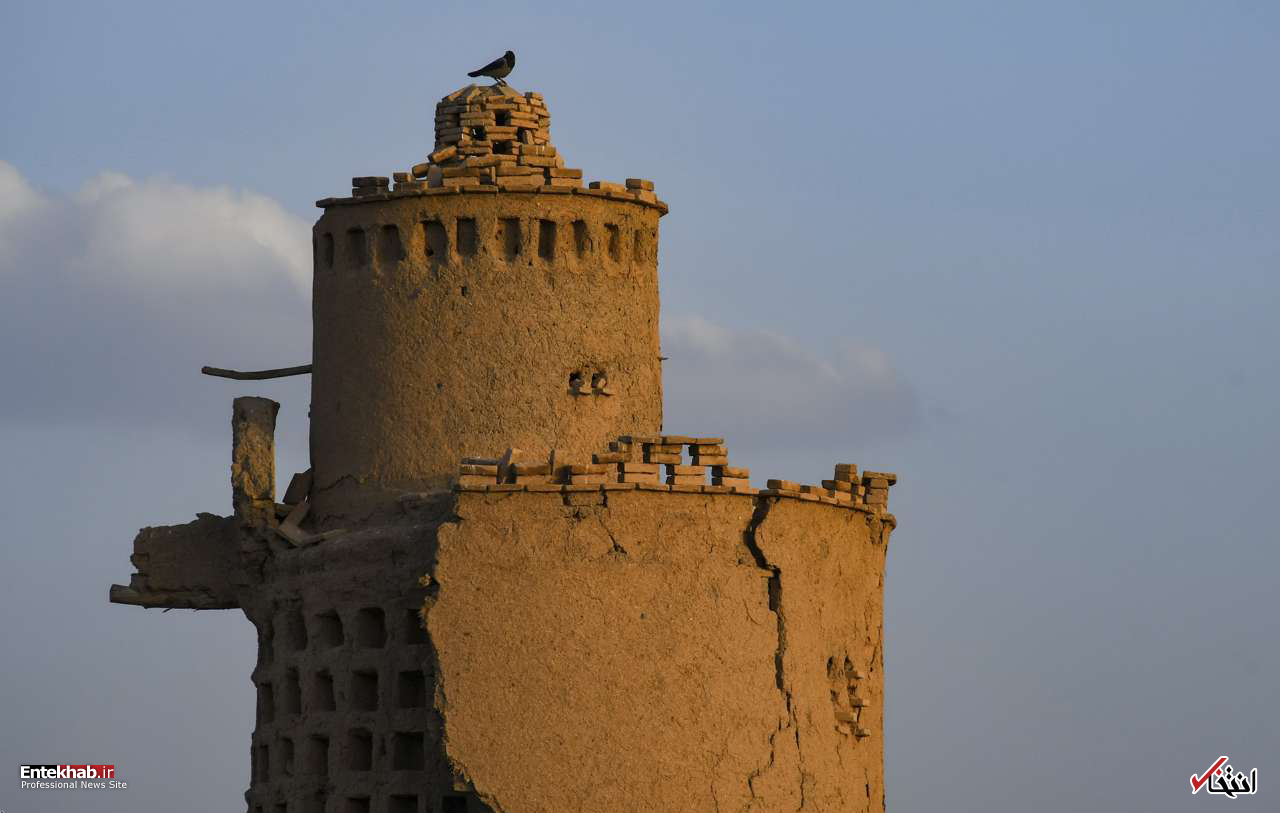 تصاویر روز : تصاویر روز :