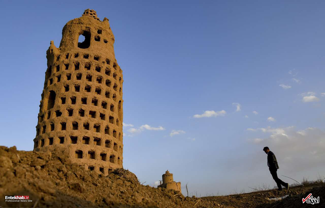 تصاویر روز : تصاویر روز :