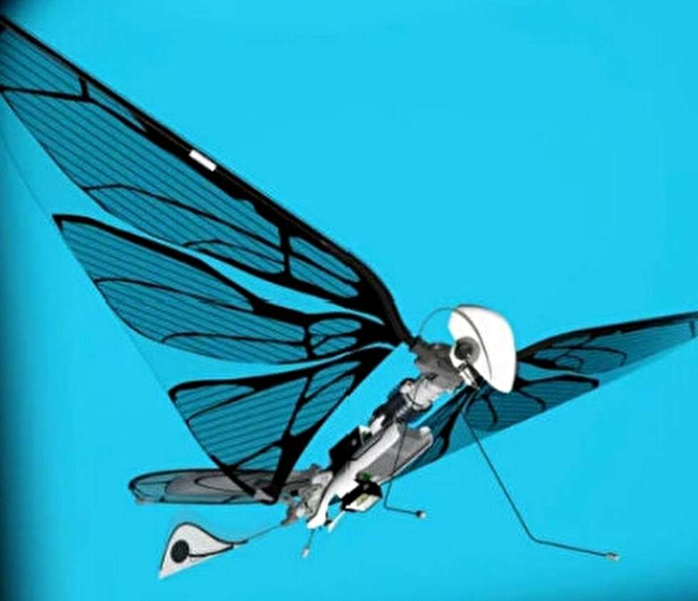 ویدیو/ تحقق یک رویای مخوف؛ متافلای، رباتی که می تواند مانند حشرات پرواز کند