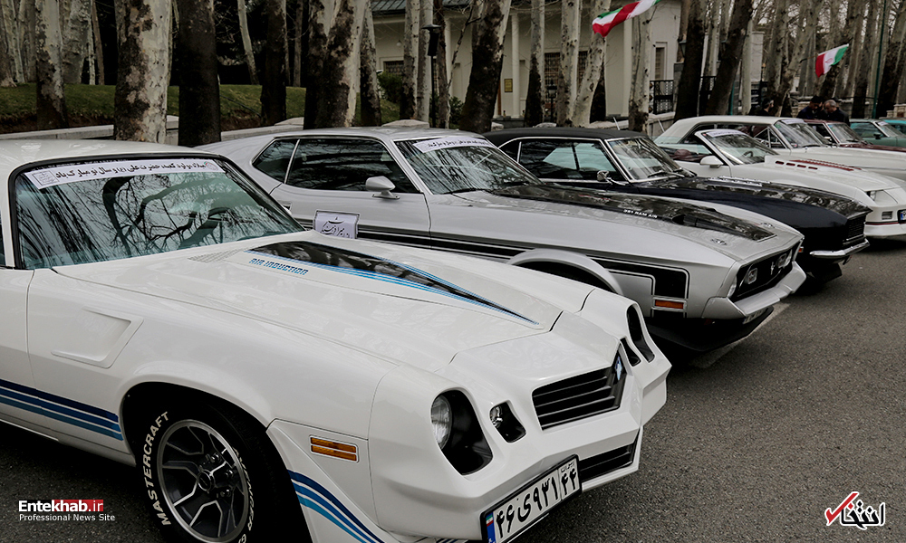 تصاویر روز :