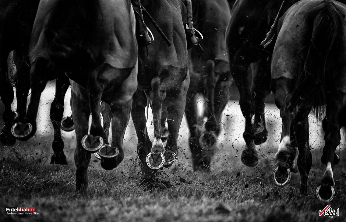 تصاویر : دیدنی&zwnj;های امروز سه شنبه ۲۸ اسفندماه