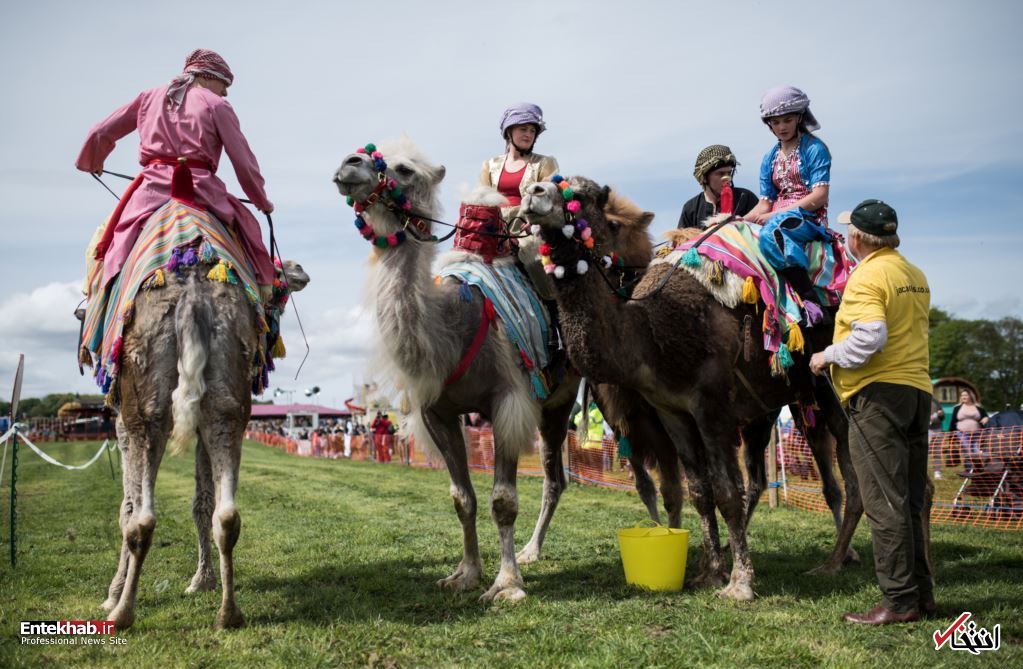 تصاویر: دیدنی&zwnj;های امروز دوشنبه ۲۴ اردیبهشت ماه