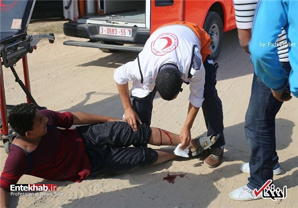 سالروز اشغال فلسطین/ ۴۱ شهید و ۲۰۰۰ زخمی؛ عفو بینالملل: اتفاقات غزه، جنایت جنگی است سالروز اشغال فلسطین/ ۴۱ شهید و ۲۰۰۰ زخمی؛ عفو بینالملل: اتفاقات غزه، جنایت جنگی است