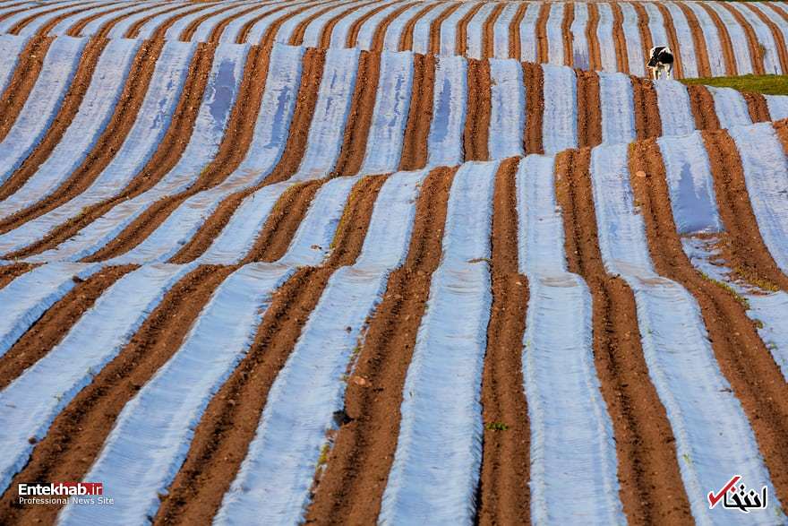 تصاویر: دیدنی&zwnj;های امروز شنبه ۲۹ اردیبهشت ماه