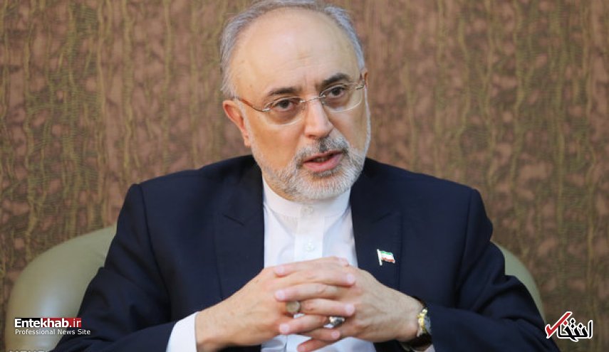 تحریف سخنان صالحی از سوی برخی رسانه های اصولگرا / بیانیه سازمان انرژی اتمی: تکذیب سخنان صالحی در حمایت از انتقاد ولایتی علیه برجام و نداشتن ترجمه فارسی