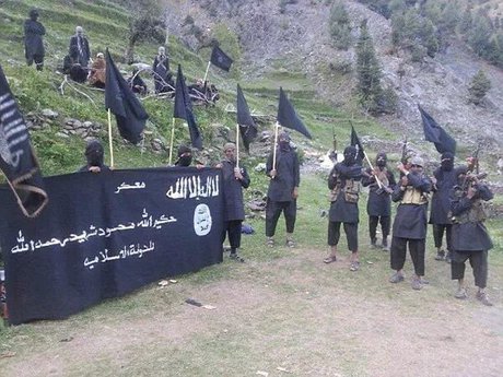 افغانستان و آمریکا برای مقابله با داعش به دنبال همکاری با طالبان هستند افغانستان و آمریکا برای مقابله با داعش به دنبال همکاری با طالبان هستند