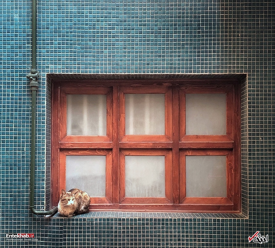 تصاویر روز :