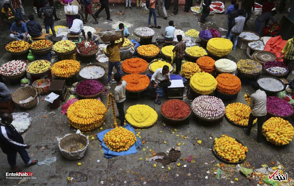 تصاویر : دیدنی&zwnj;های امروز یکشنبه ۲۱ مردادماه