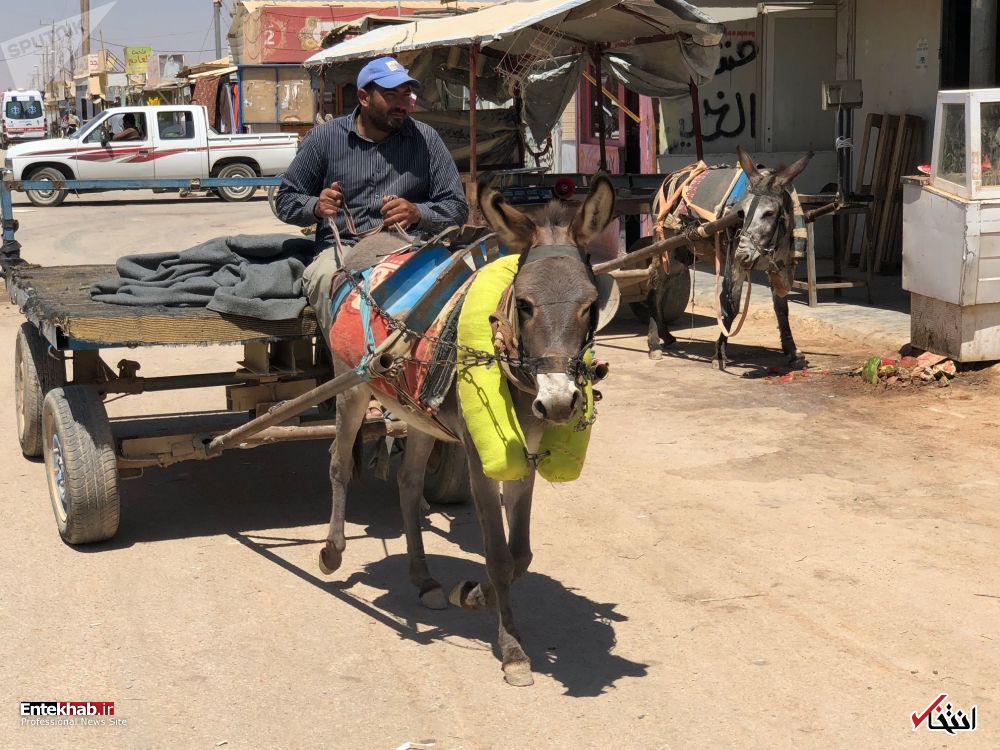 تصاویر : دیدنی&zwnj;های امروز یکشنبه ۲۱ مردادماه