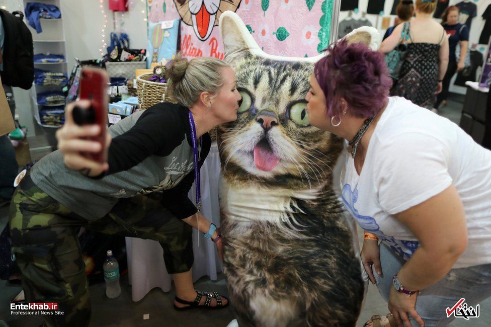 تصاویر : دیدنی&zwnj;های امروز یکشنبه ۲۱ مردادماه