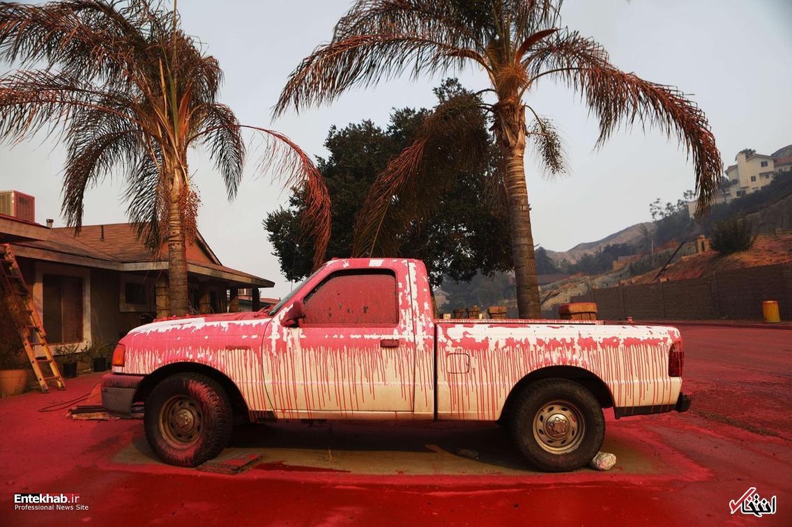 تصاویر : دیدنی&zwnj;های امروز یکشنبه ۲۱ مردادماه