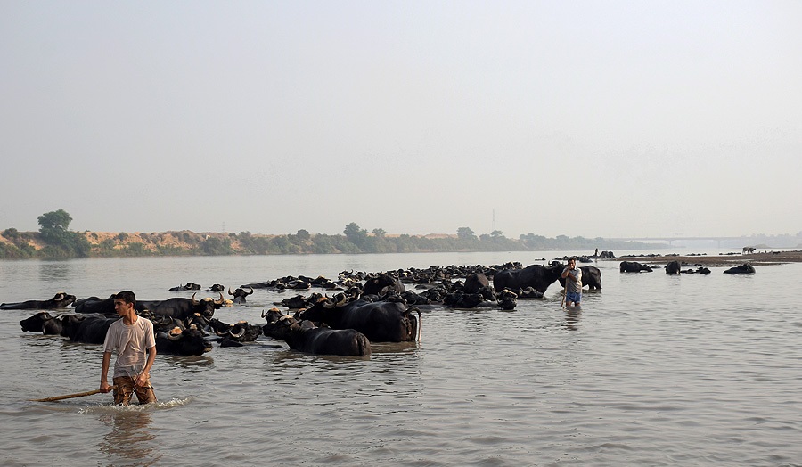 تصاویر روز :