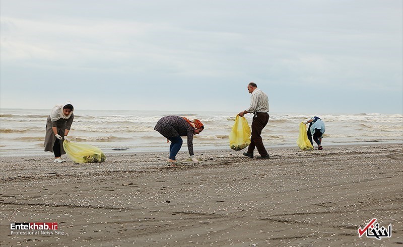 تصاویر روز :