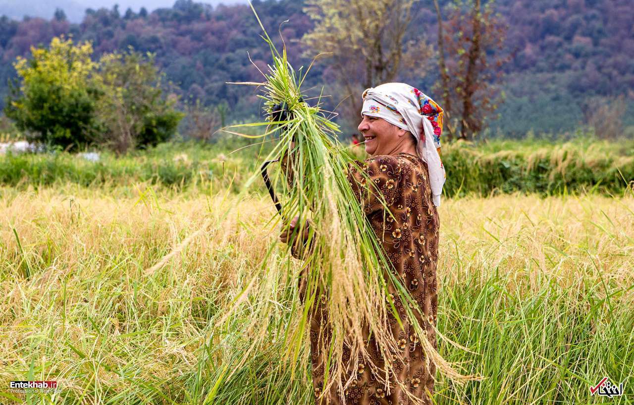 تصاویر روز :