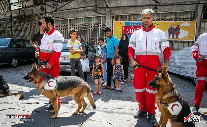 تصاویر روز :