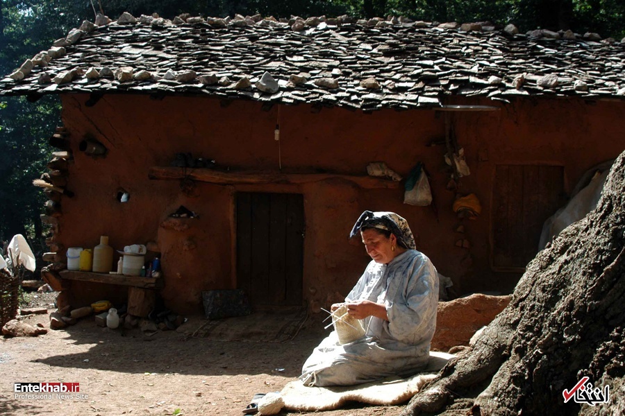 تصاویر روز :