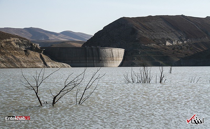 تصاویر روز :