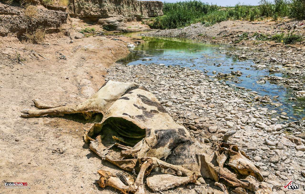 تصاویر روز :