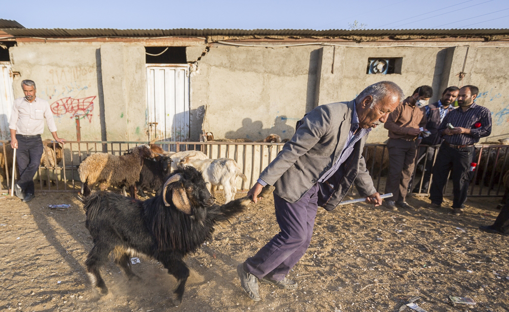 تصاویر روز :