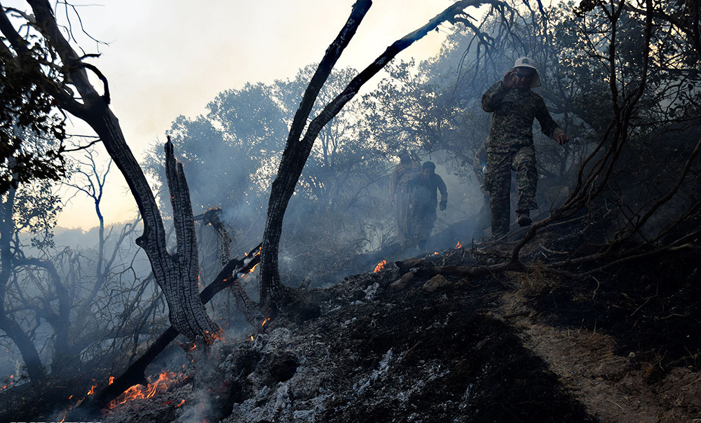 تصاویر روز :