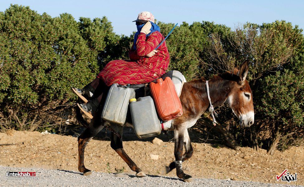 تصاویر : دیدنی&zwnj;های امروز یکشنبه ۶ مردادماه