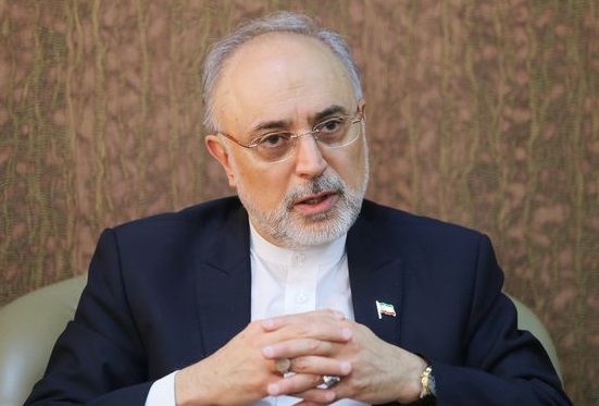 عده ای که از منظر سیاسی از برجام انتقاد می کنند، دنبال حقیقت نیستند، هدفشان رسیدن به قدرت است / در دوره بنده اجازه مذاکرات در سطح وزیر خارجه نبود؛ در دوره جناب روحانی این مجوز داده شد / برای اثبات ادعای ریختن سیمان در راکتور اراک، عکس راکتور را فتوشاپ کردند / بازرسی «آژانس» از دانشگاهها با مجوز شورای عالی امنیت ملی بوده / پیشهاد خروج ایران از NPT پیامدهای بسیار سنگینی دارد که حتی نمیخواهم راجع به آن فکر کنم / حضرت آقا پیش از موضوع هستهای در مقاطعی اجازه مذاکره با امریکا را دادهاند عده ای که از منظر سیاسی از برجام انتقاد می کنند، دنبال حقیقت نیستند، هدفشان رسیدن به قدرت است / در دوره بنده اجازه مذاکرات در سطح وزیر خارجه نبود؛ در دوره جناب روحانی این مجوز داده شد / برای اثبات ادعای ریختن سیمان در راکتور اراک، عکس راکتور را فتوشاپ کردند / بازرسی «آژانس» از دانشگاهها با مجوز شورای عالی امنیت ملی بوده / پیشهاد خروج ایران از NPT پیامدهای بسیار سنگینی دارد که حتی نمیخواهم راجع به آن فکر کنم / حضرت آقا پیش از موضوع هستهای در مقاطعی اجازه مذاکره با امریکا را دادهاند