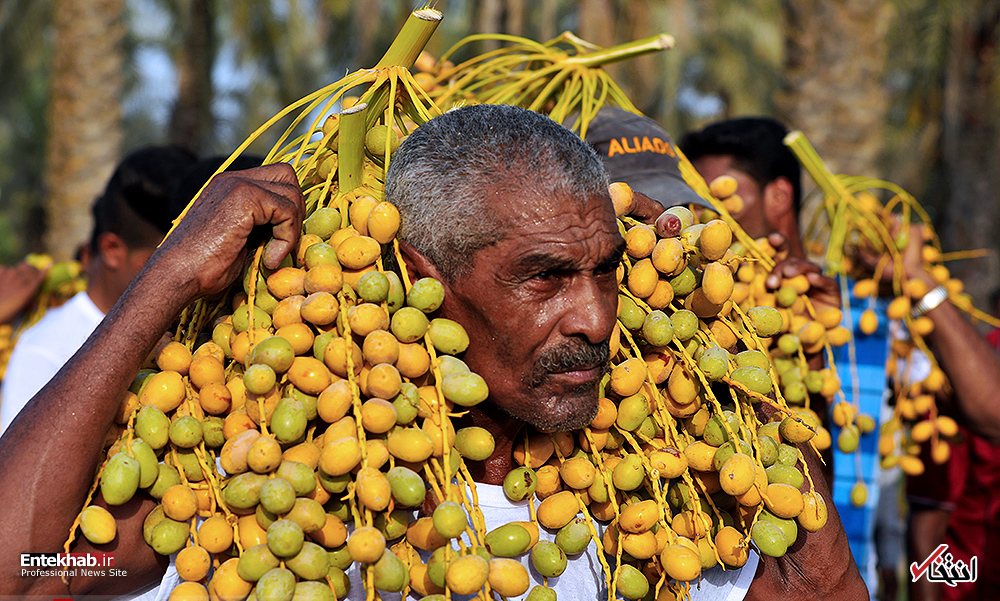 تصاویر روز :