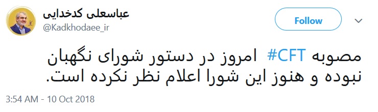 کدخدایی: مصوبه CFT  امروز در دستور شورای نگهبان نبوده است
