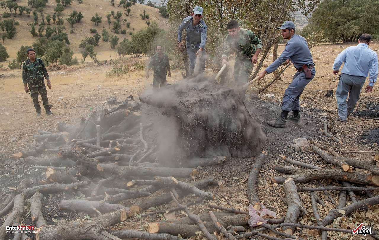 تصاویر روز :