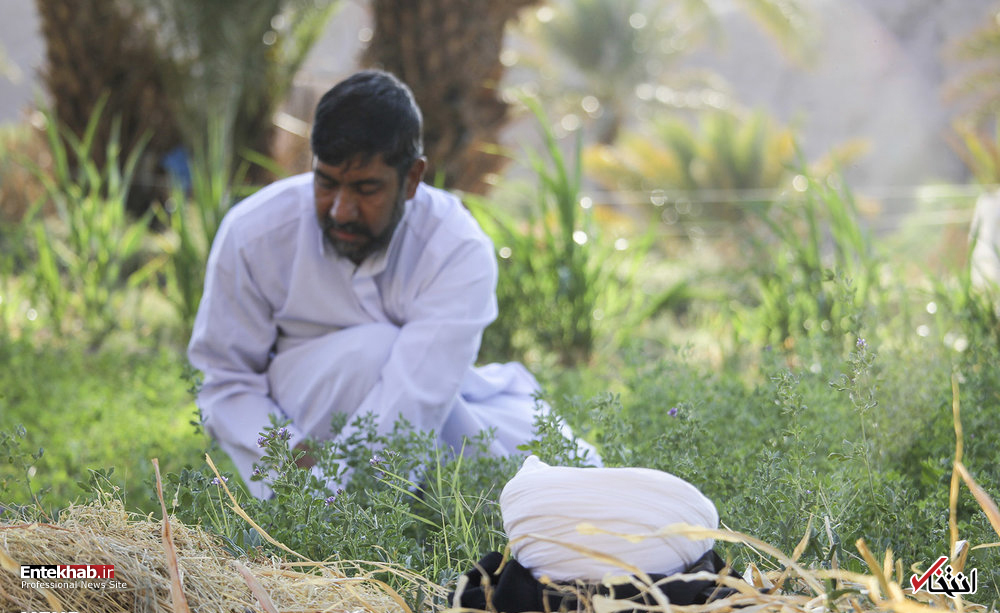 تصاویر روز