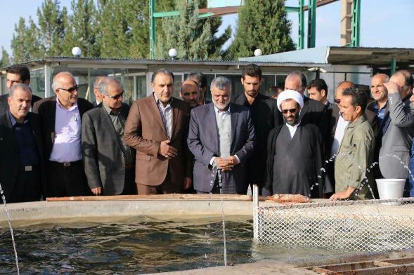 بازدید حجتی از طرح های بخش کشاورزی شهرستان محلات