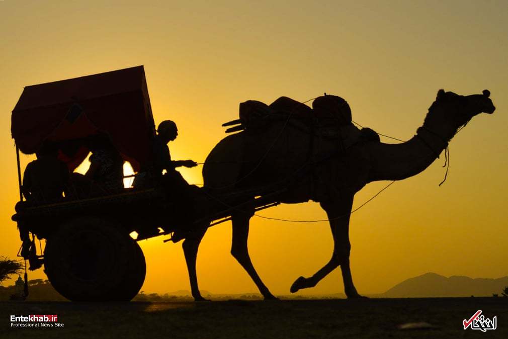 تصاویر : دیدنی&zwnj;های امروز سه شنبه ۲۲ آبان ماه