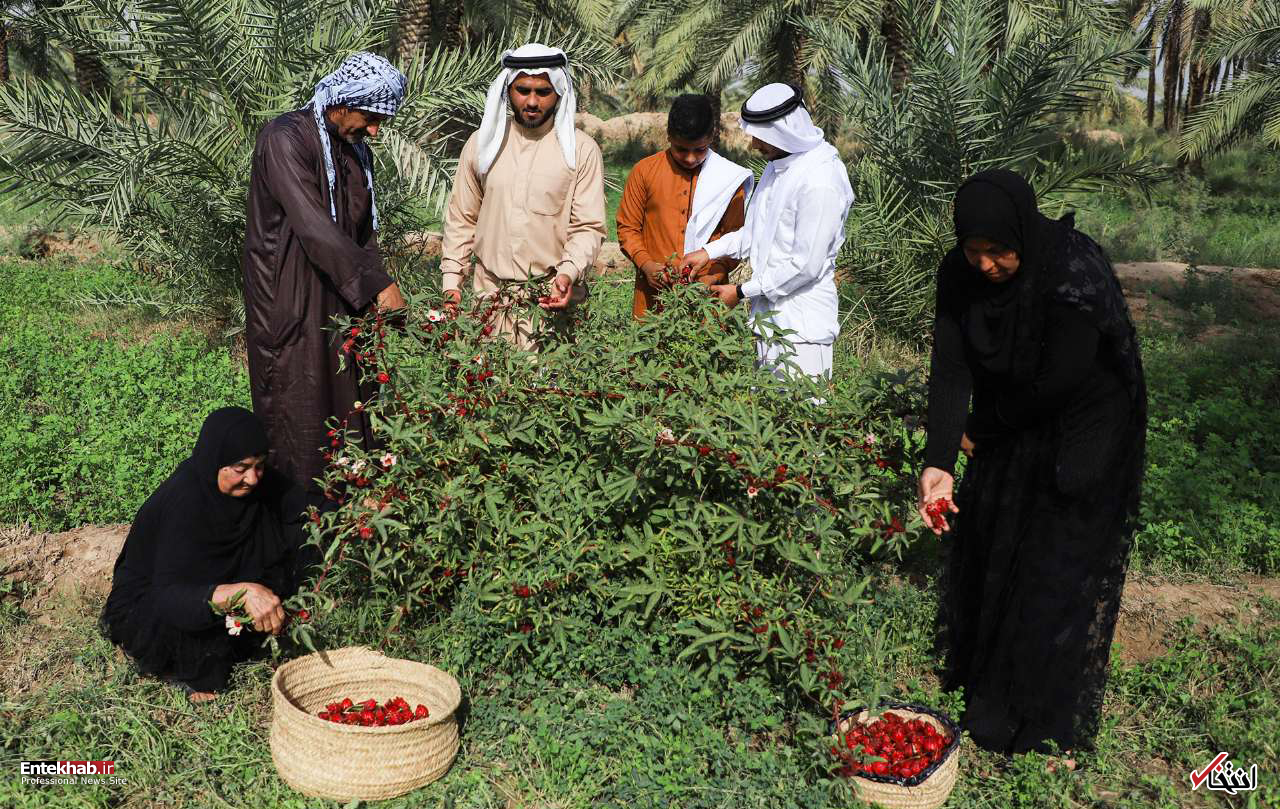 تصاویر روز :