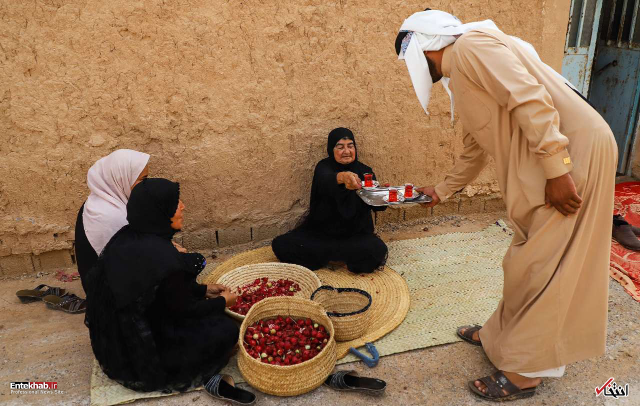 تصاویر روز :