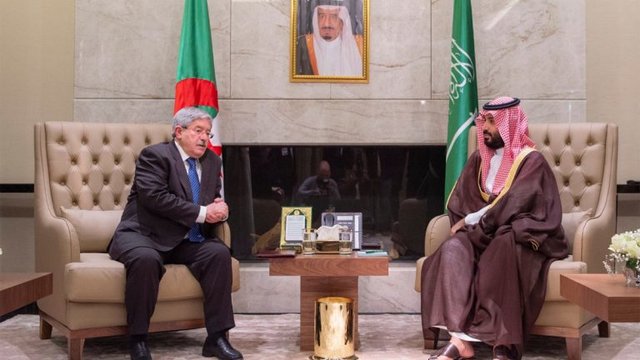 سفر بنسلمان به اردن به تاخیر افتاد / انتقاد روزنامه الجزایری از دستاوردهای سفر ولیعهد سعودی سفر بنسلمان به اردن به تاخیر افتاد / انتقاد روزنامه الجزایری از دستاوردهای سفر ولیعهد سعودی