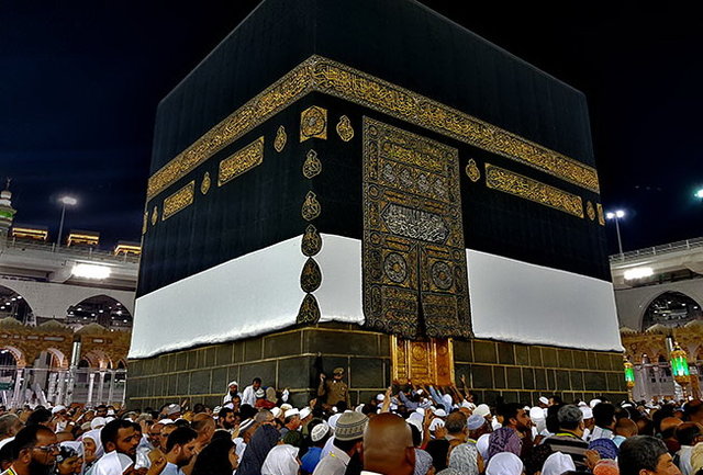 رییس سازمان حج به عربستان رفت رییس سازمان حج به عربستان رفت