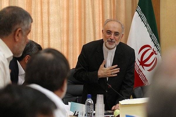 &laquo;صالحی&raquo; به کمیسیون امنیت ملی می&zwnj;رود